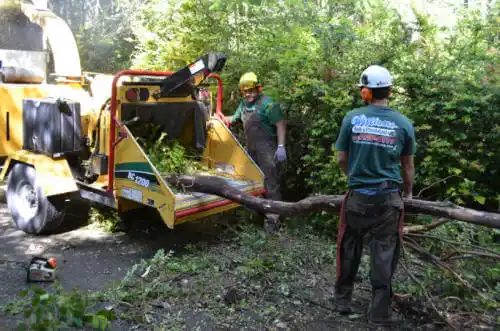 tree services La Harpe